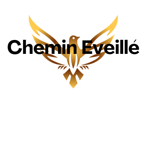 chemineveille.com